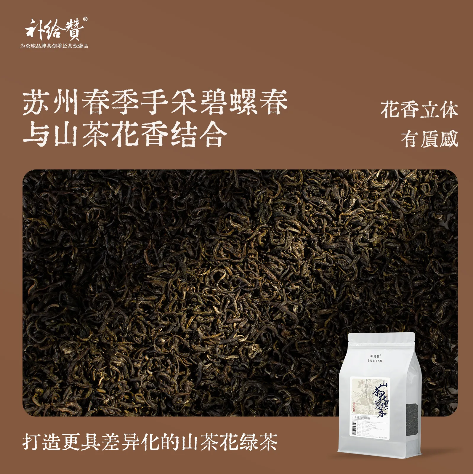 Camellia Bi Luo Chun 2