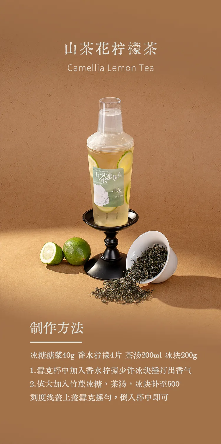 Camellia Bi Luo Chun detail 2