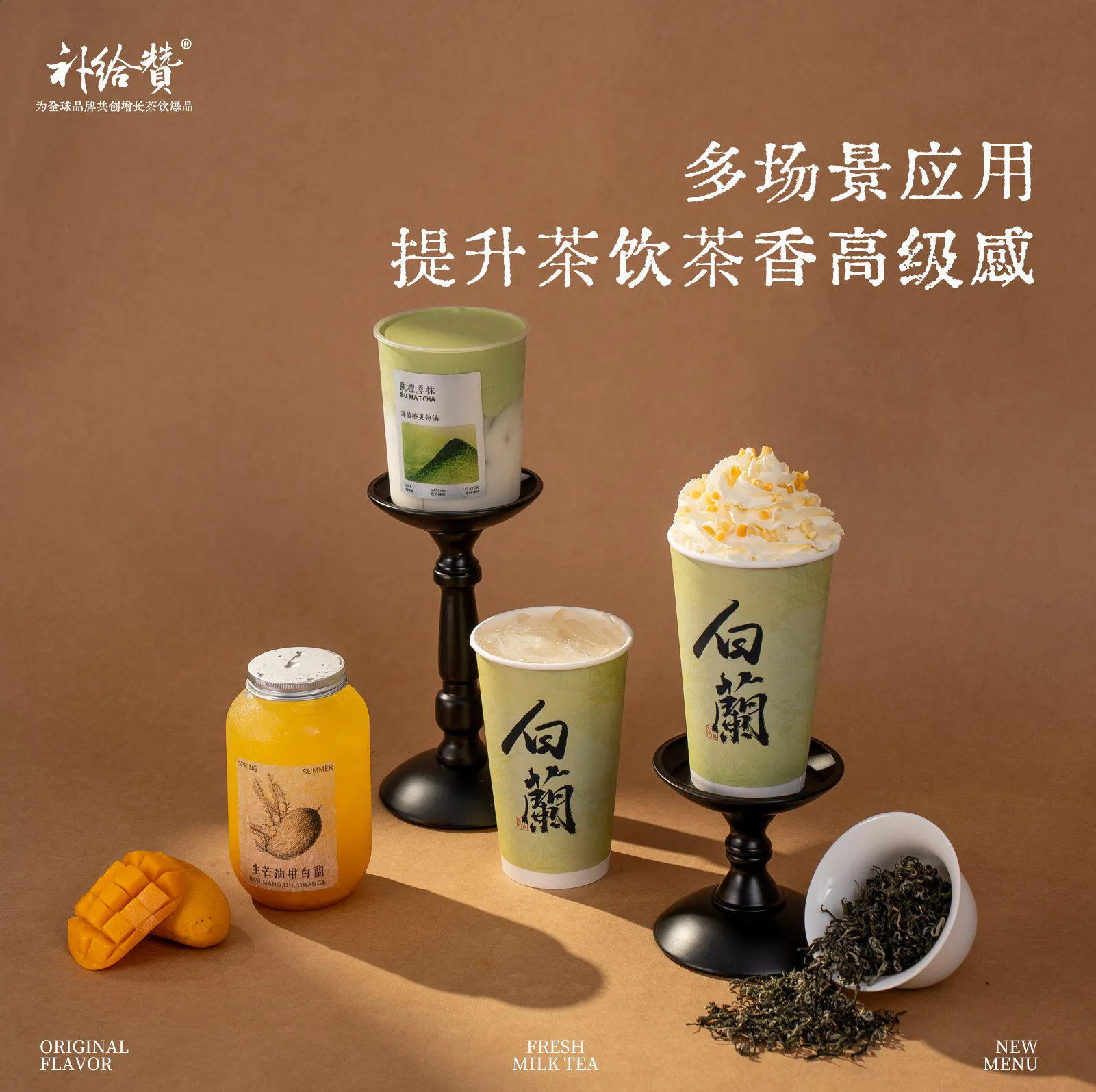 Magnolia Bi Luo Chun 3